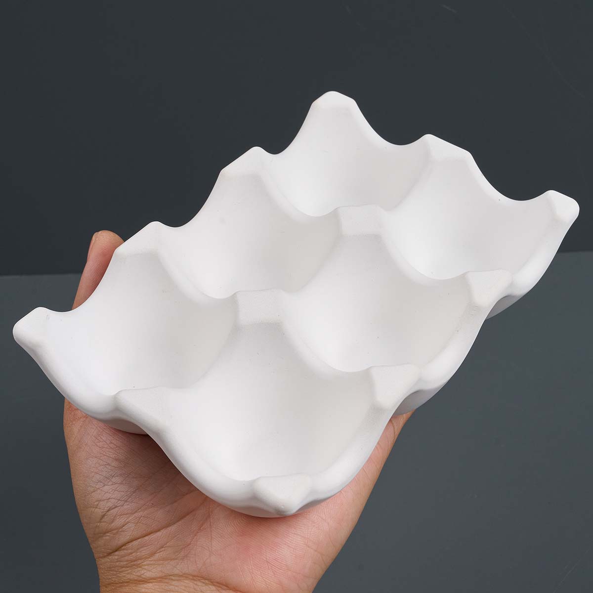 6-Compartment Egg Holder Silic - Jewelry Making Organizer avis et prix