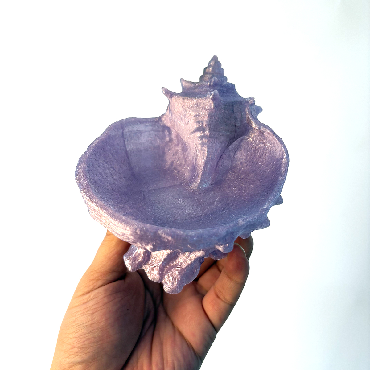 Pearlescent Purple Conch-Shape - Jewelry Making Organizer avis et prix